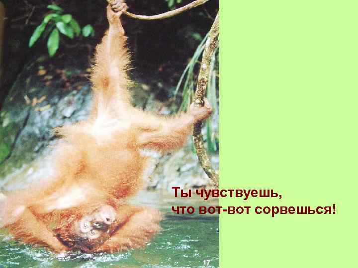 Ты чувствуешь, что вот-вот сорвешься! 