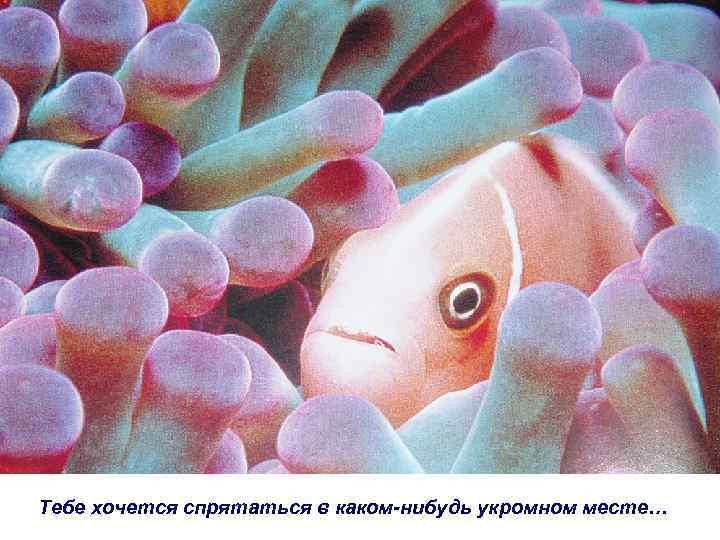 Тебе хочется спрятаться в каком-нибудь укромном месте… 