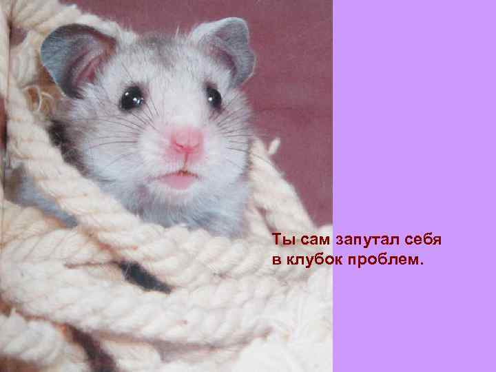 Ты сам запутал себя в клубок проблем. 