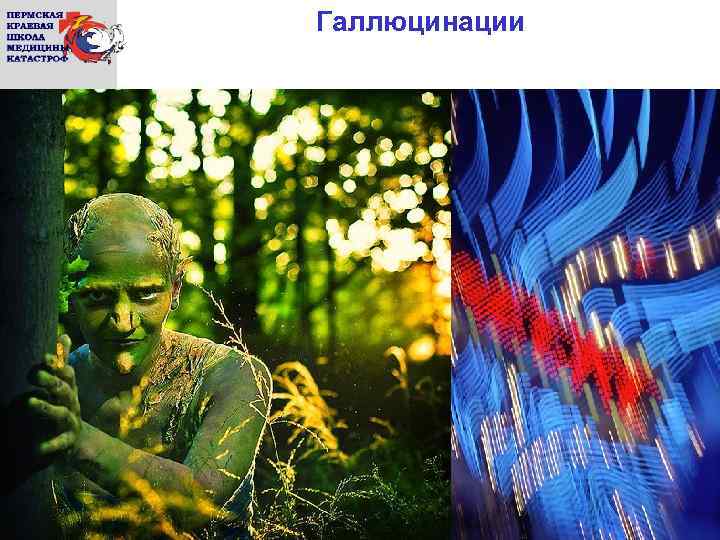 Галлюцинации 