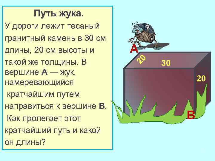 Путь жука. A 20 У дороги лежит тесаный гранитный камень в 30 см длины,