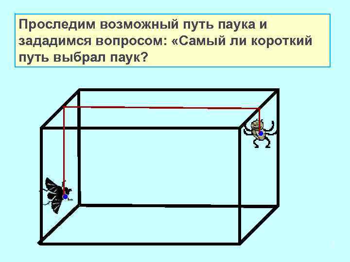 Проследим возможный путь паука и зададимся вопросом: «Самый ли короткий путь выбрал паук? 4