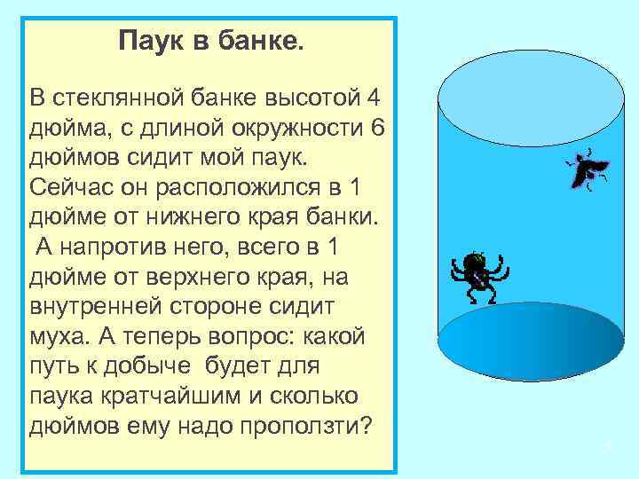 Паук в банке. В стеклянной банке высотой 4 дюйма, с длиной окружности 6 дюймов