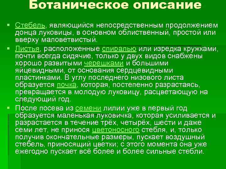 Ботаническое описание § Стебель, являющийся непосредственным продолжением донца луковицы, в основном облиственный, простой или