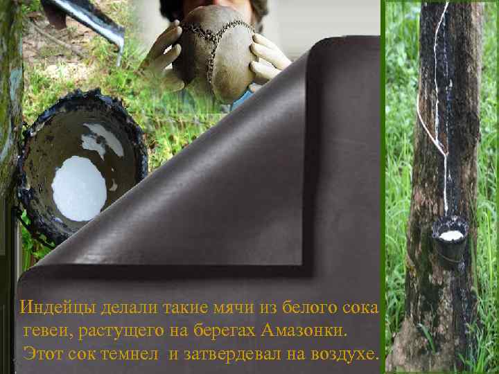  Индейцы делали такие мячи из белого сока гевеи, растущего на берегах Амазонки. Этот