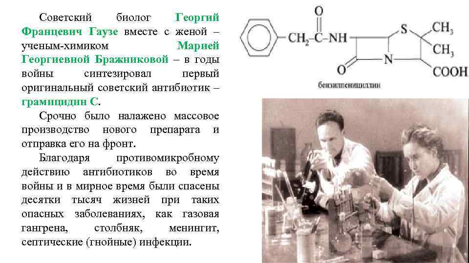 Первые синтезы. Георгий Францевич Гаузе биолог. Гаузе Георгий Францевич Химик. Георгий Гаузе микробиолог. Гаузе Георгий Францевич вклад в микробиологию.