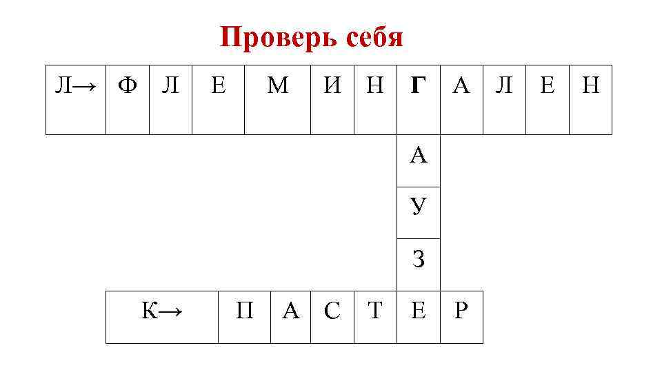 Проверь себя Л→ Ф Л Е М И Н Г А Л А У