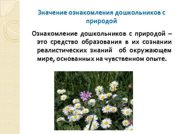 Значение ознакомления дошкольников с природой Ознакомление дошкольников с природой – это средство образования в