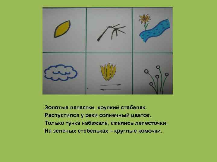 Золотые лепестки, хрупкий стебелек. Распустился у реки солнечный цветок. Только тучка набежала, сжались лепесточки.