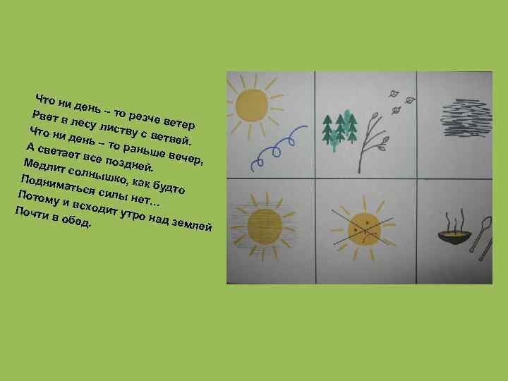 Что ни день – то ре Рвет в зче ве лесу л тер иству