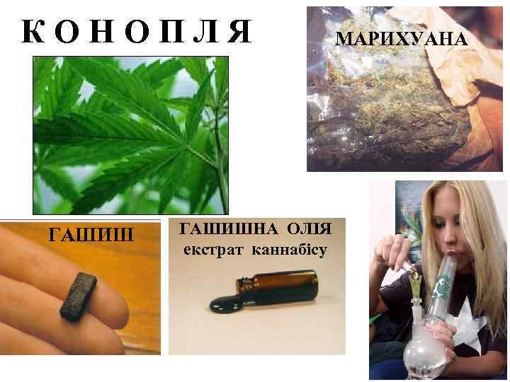 КОНОПЛЯ ГАШИШНА ОЛІЯ екстрат каннабісу МАРИХУАНА 