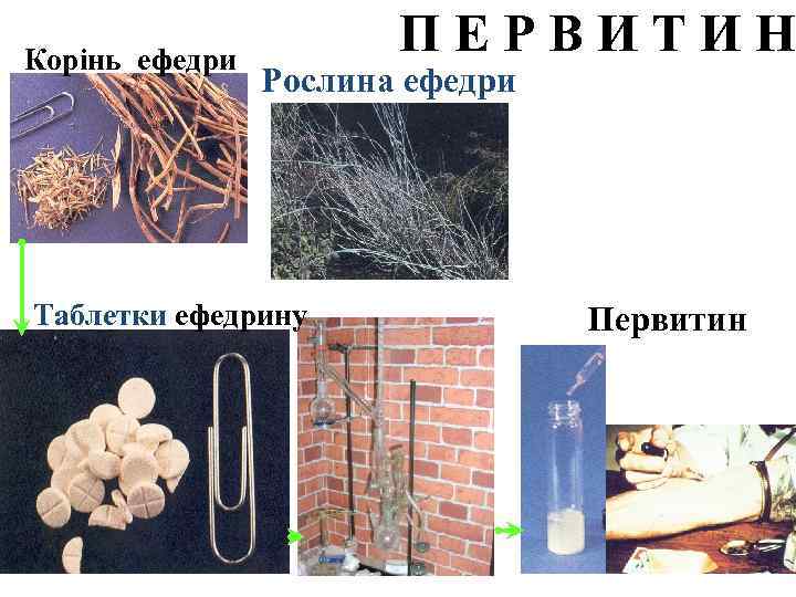 Корінь ефедри ПЕРВИТИН Рослина ефедри Таблетки ефедрину Первитин 