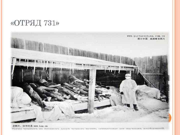  «ОТРЯД 731» 