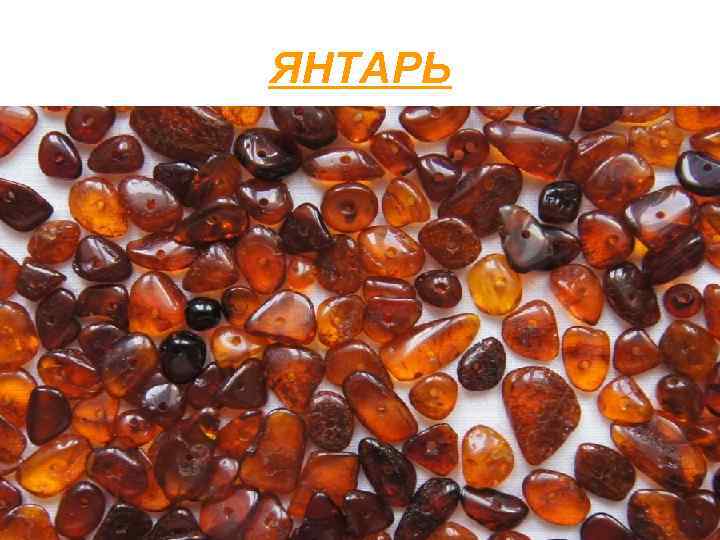 ЯНТАРЬ 