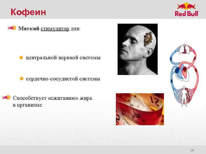 Кофеин Мягкий стимулятор для: центральной нервной системы сердечно-сосудистой системы Способствует «сжиганию» жира в организме