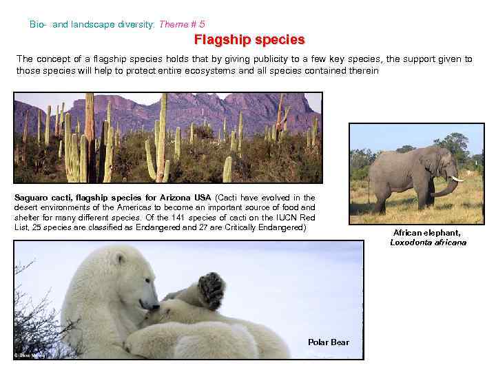 Bio- and landscape diversity: Theme # 5 Flagship species The concept of a flagship