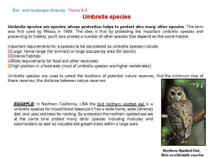 Bio- and landscape diversity: Theme # 5 Umbrella species are species whose protection helps