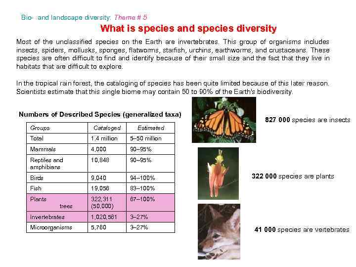 Bio- and landscape diversity: Theme # 5 What is species and species diversity Most