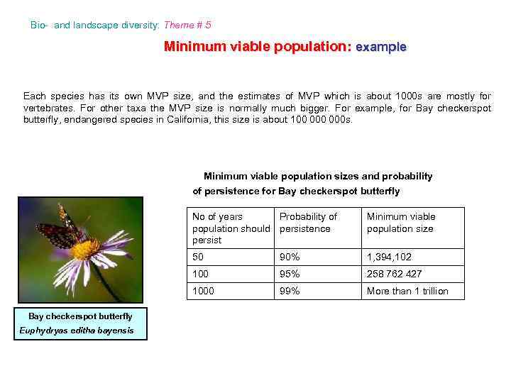 Bio- and landscape diversity: Theme # 5 Minimum viable population: example Each species has