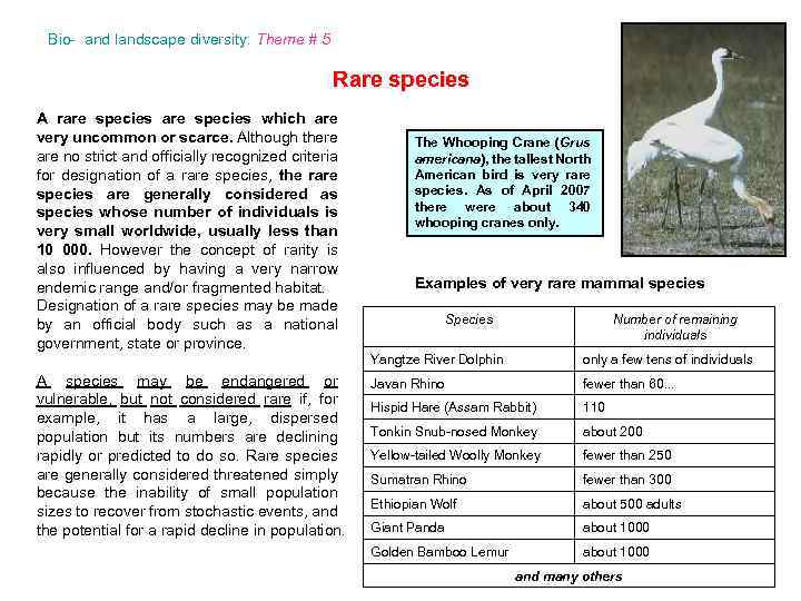 Bio- and landscape diversity: Theme # 5 Rare species A rare species which are