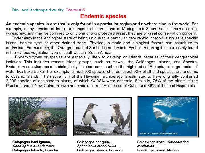 Bio- and landscape diversity: Theme # 5 Endemic species An endemic species is one