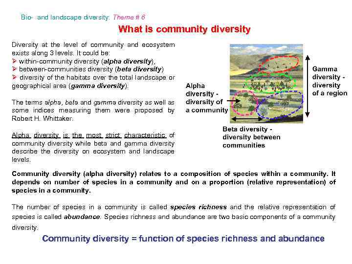 Bio- and landscape diversity: Theme # 6 What is community diversity Diversity at the