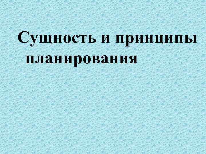 Сущность и принципы планирования 