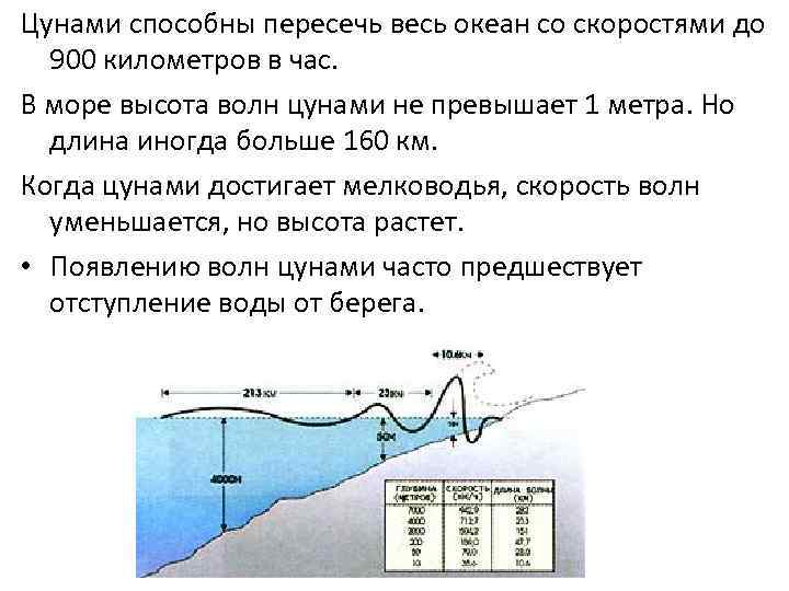 Цунами способны пересечь весь океан со скоростями до 900 километров в час. В море