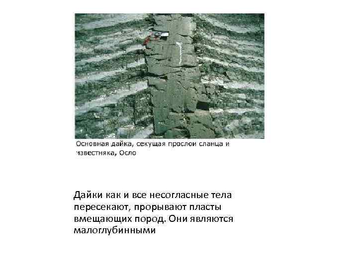 Дайки как и все несогласные тела пересекают, прорывают пласты вмещающих пород. Они являются малоглубинными