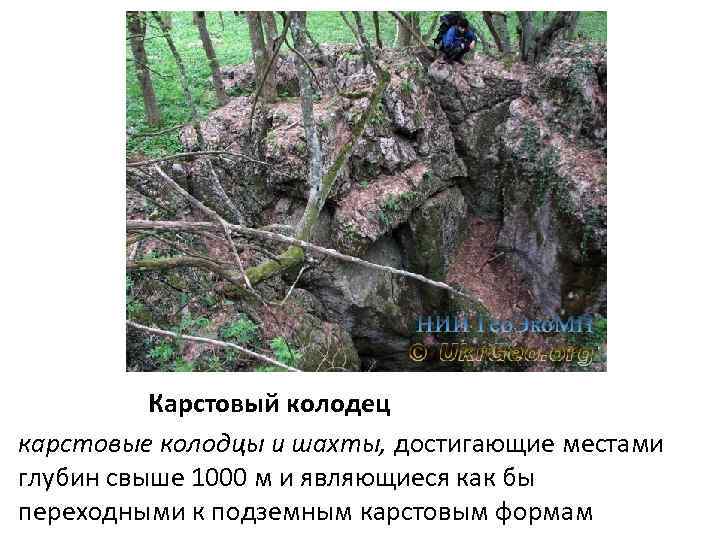 Карстовый колодец карстовые колодцы и шахты, достигающие местами глубин свыше 1000 м и являющиеся