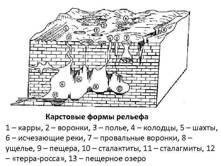 Карстовые формы рельефа 1 – карры, 2 – воронки, 3 – полье, 4 –