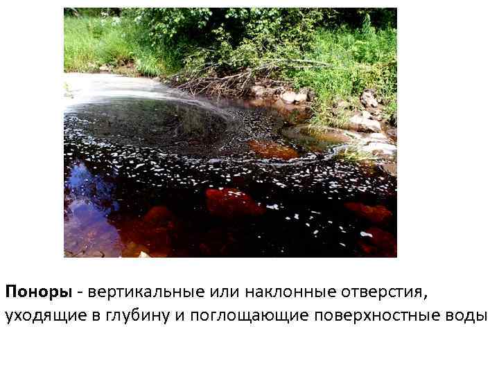 Поноры - вертикальные или наклонные отверстия, уходящие в глубину и поглощающие поверхностные воды 