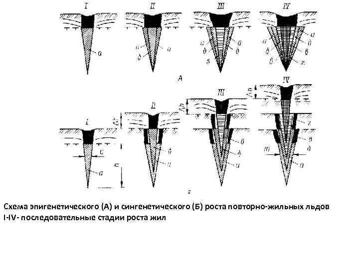 Схема эпигенетического (А) и сингенетического (Б) роста повторно-жильных льдов I-IV- последовательные стадии роста жил