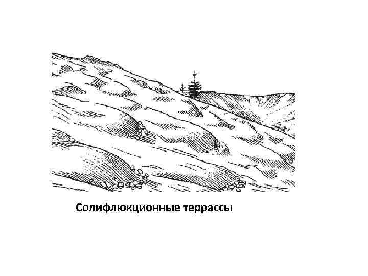 Солифлюкционные террассы 