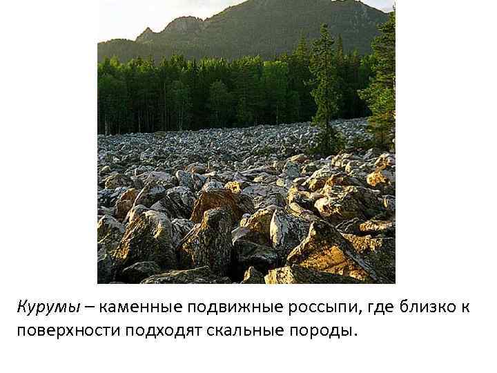 Курумы – каменные подвижные россыпи, где близко к поверхности подходят скальные породы. 