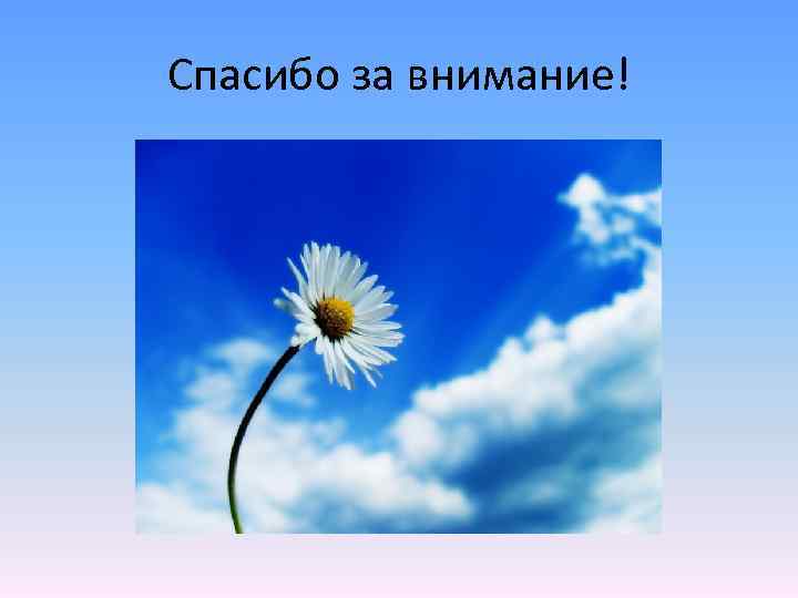 Спасибо за внимание! 