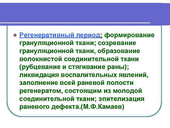 l Регенеративный период: формирование грануляционной ткани; созревание грануляционной ткани, образование волокнистой соединительной ткани (рубцевание