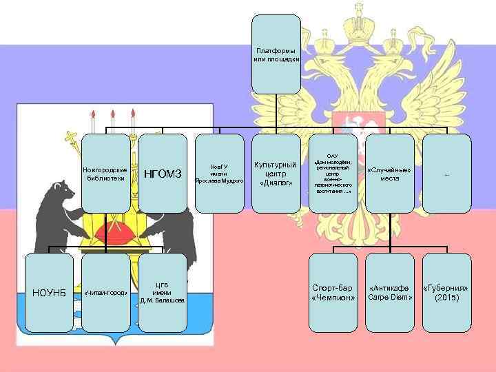 Платформы или площадки Новгородские библиотеки НОУНБ НГОМЗ «Читай-Город» ЦГБ имени Д. М. Балашова Нов.