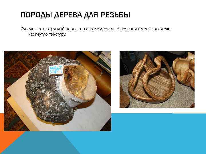 ПОРОДЫ ДЕРЕВА ДЛЯ РЕЗЬБЫ Сувель – это округлый нарост на стволе дерева. В сечении