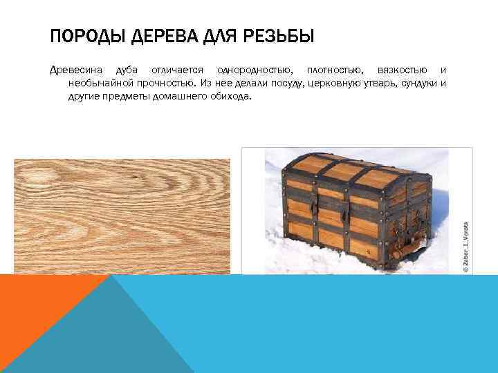 ПОРОДЫ ДЕРЕВА ДЛЯ РЕЗЬБЫ Древесина дуба отличается однородностью, плотностью, вязкостью и необычайной прочностью. Из