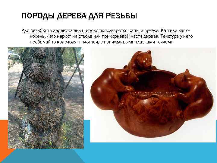 ПОРОДЫ ДЕРЕВА ДЛЯ РЕЗЬБЫ Для резьбы по дереву очень широко используются капы и сувели.
