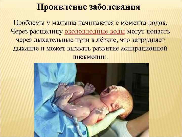 Жизнь человека начинается с момента зачатия картинка