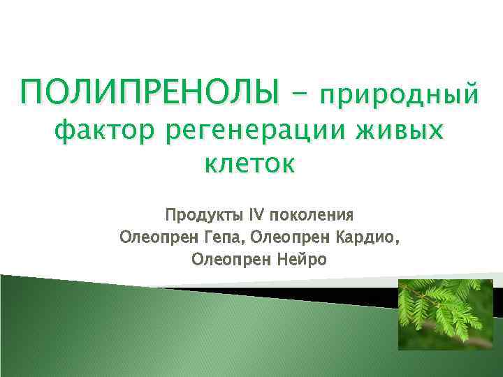 ПОЛИПРЕНОЛЫ – природный фактор регенерации живых клеток Продукты IV поколения Олеопрен Гепа, Олеопрен Кардио,