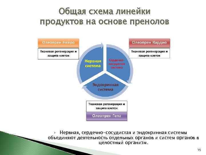 Общая схема линейки продуктов на основе пренолов Нервная, сердечно-сосудистая и эндокринная системы объединяют деятельность