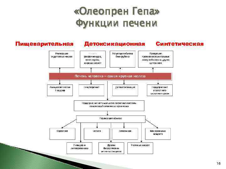  «Олеопрен Гепа» Функции печени Пищеварительная Детоксикационная Синтетическая 16 