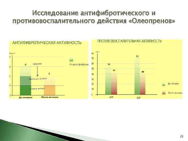 Исследование антифибротического и противовоспалительного действия «Олеопренов» 25 