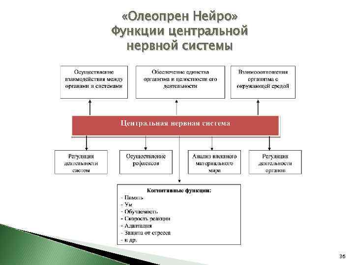  «Олеопрен Нейро» Функции центральной нервной системы 36 
