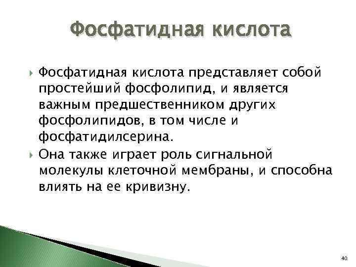 Фосфатидная кислота представляет собой простейший фосфолипид, и является важным предшественником других фосфолипидов, в том