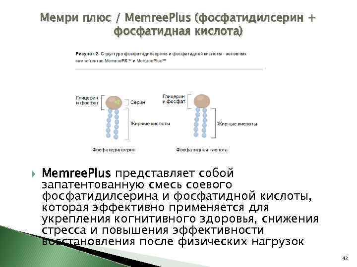 Мемри плюс / Memree. Plus (фосфатидилсерин + фосфатидная кислота) Memree. Plus представляет собой запатентованную