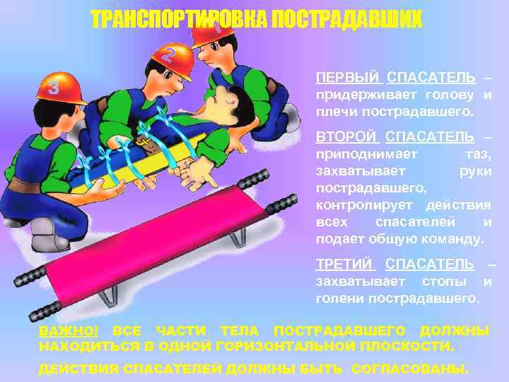 ТРАНСПОРТИРОВКА ПОСТРАДАВШИХ ПЕРВЫЙ СПАСАТЕЛЬ – придерживает голову и плечи пострадавшего. ВТОРОЙ СПАСАТЕЛЬ – приподнимает